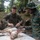 Tradewinds 23 Jungle Amphibious Training School: Jungle Food Tradewinds 23 Jungle Amphibious Training School: Jungle Food