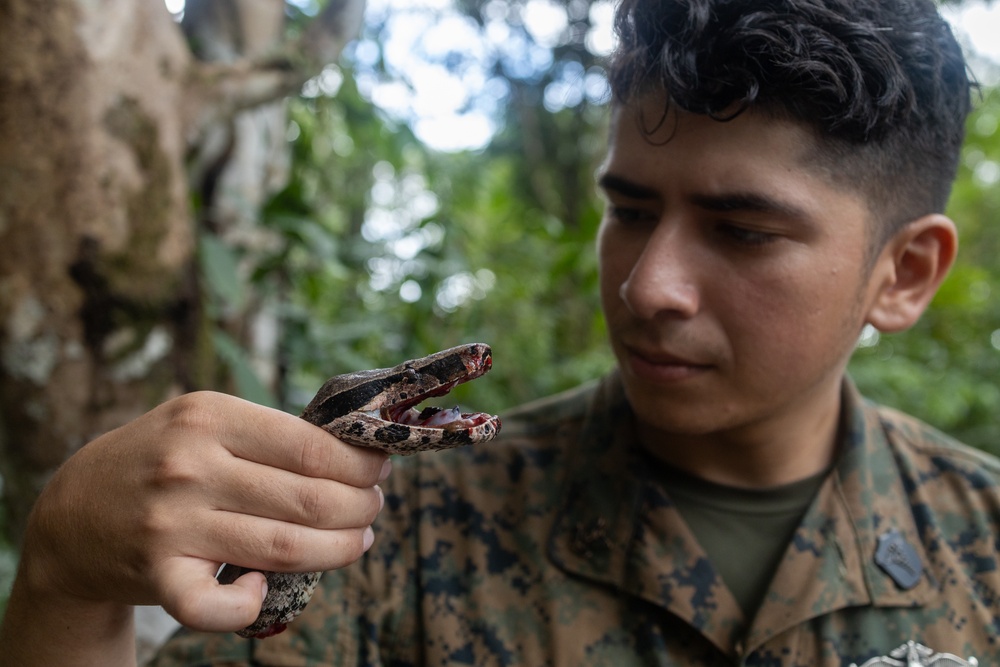 Tradewinds 23 Jungle Amphibious Training School: Jungle Food