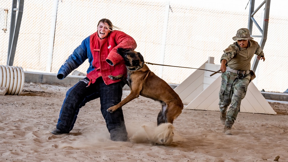 Stop, this is the paw-lice!