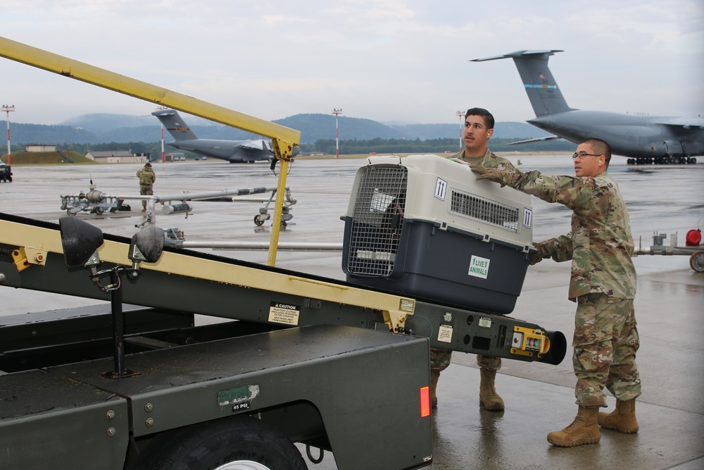 445 AW units integrate with Ramstein Air Base for annual tour