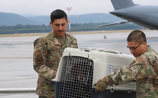 445 AW units integrate with Ramstein Air Base for annual tour