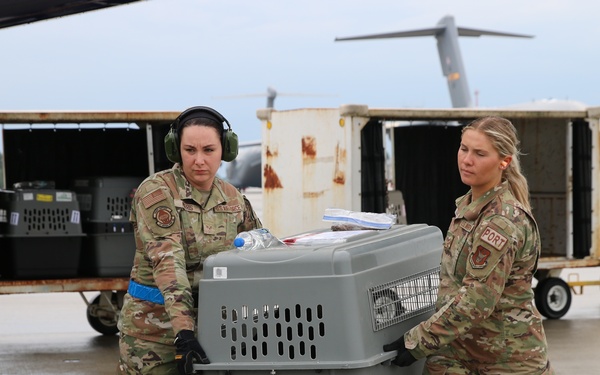 445 AW units integrate with Ramstein Air Base for annual tour