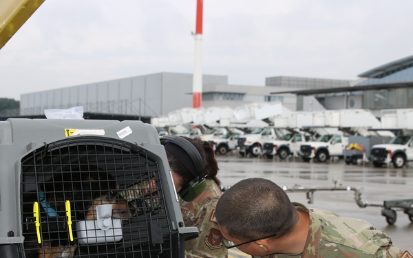 445 AW units integrate with Ramstein Air Base for annual tour