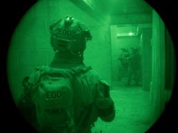 Training Side by Side; 10th SFG(A) Partners with MARSOC and 4th Infantry Division