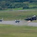 Raptors and Lightning share Arctic skies