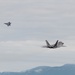 Raptors and Lightning share Arctic skies