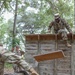 213th Soldiers Tackle Leadership Reaction Course