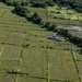 Medical Care in the Air | Philippine Marines, Airmen, and U.S. Navy Sailors practice CASEVAC drills