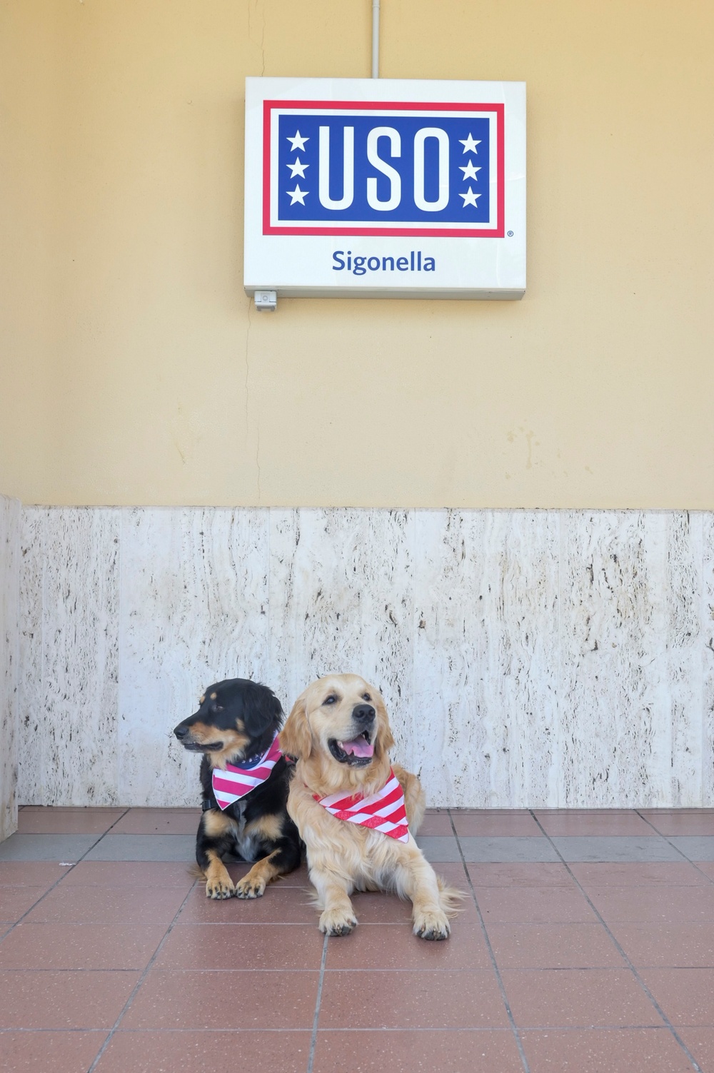 NAS Sigonella Implements USO Canine Therapy Program