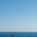 Royal Australian Air Force, U.S. Navy, and U.S. Air Force Aircraft fly over USS Ronald Reagan (CVN 76) in support of Talisman Sabre 23