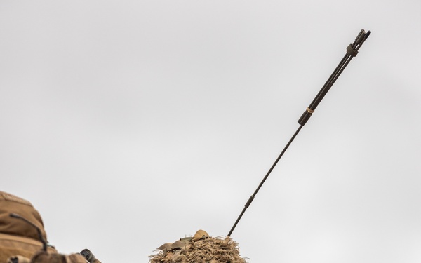 Battle Group Ram conducts air assault operation