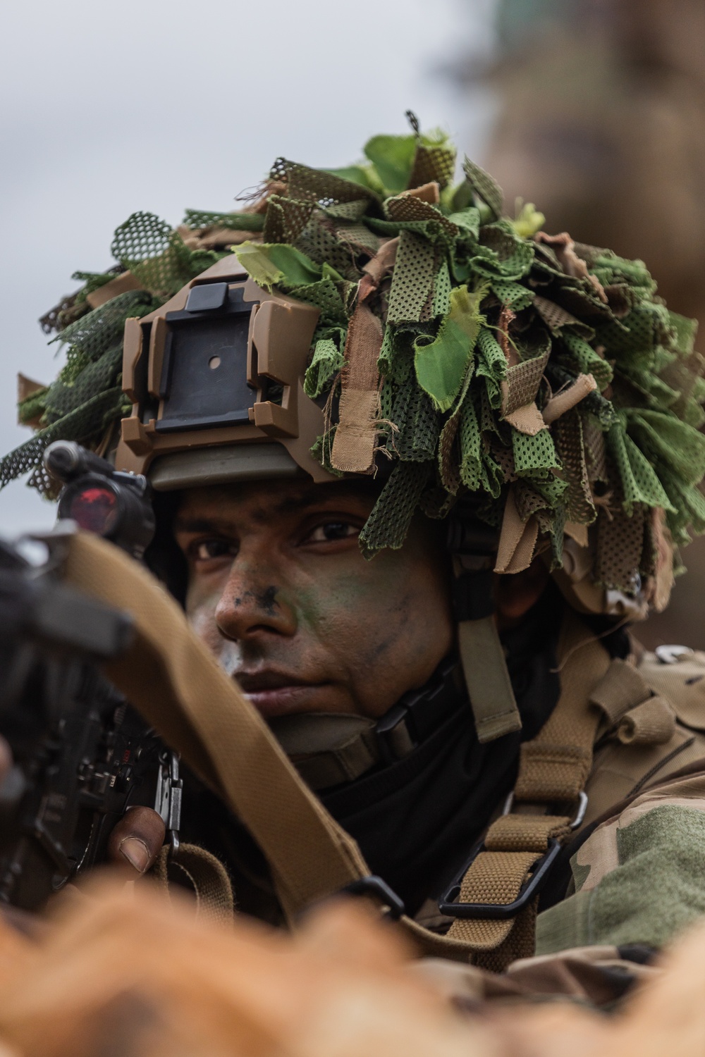 Battle Group Ram conducts air assault operation