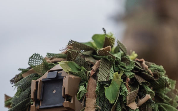 Battle Group Ram conducts air assault operation