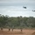 Battle Group Ram conducts air assault operation