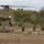 Battle Group Ram conducts air assault operation