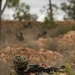 Battle Group Ram conducts air assault operation