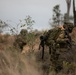 Battle Group Ram conducts air assault operation