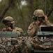 Battle Group Ram conducts air assault operation