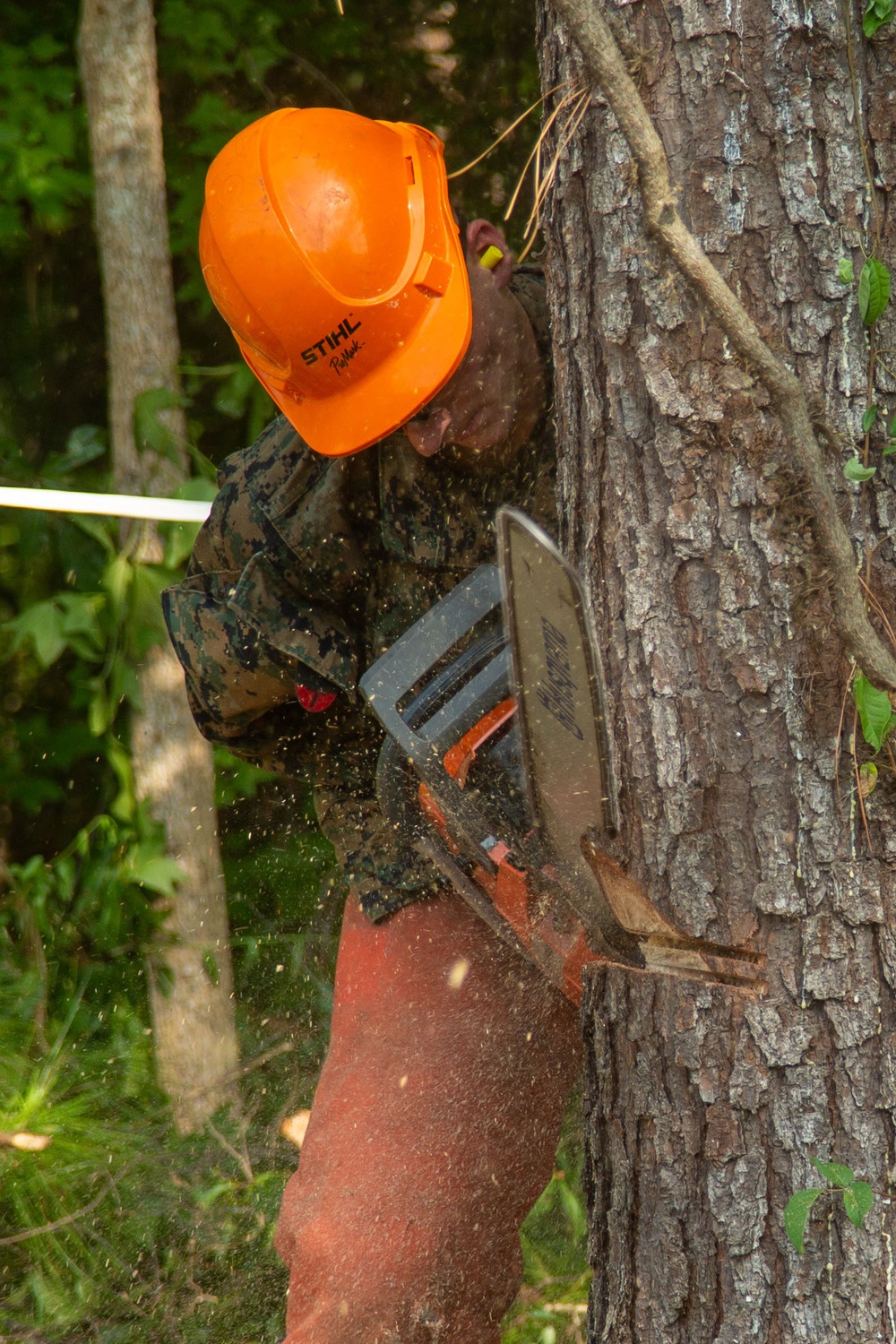 MWSS-273 conducts tree felling operations at MCAS Beaufort