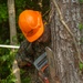 MWSS-273 conducts tree felling operations at MCAS Beaufort