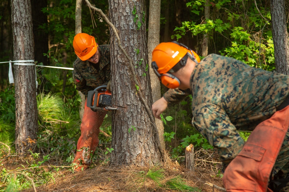 MWSS-273 conducts tree felling operations at MCAS Beaufort
