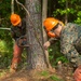 MWSS-273 conducts tree felling operations at MCAS Beaufort