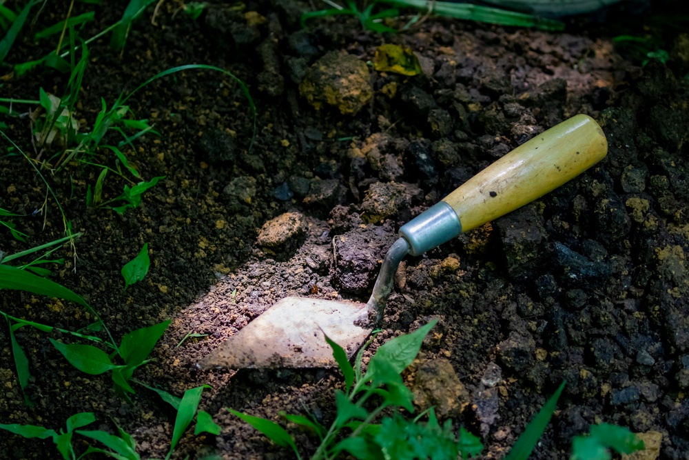 Headwater Highlights: Environmental stewards clear the path for construction and community projects to safeguard resources