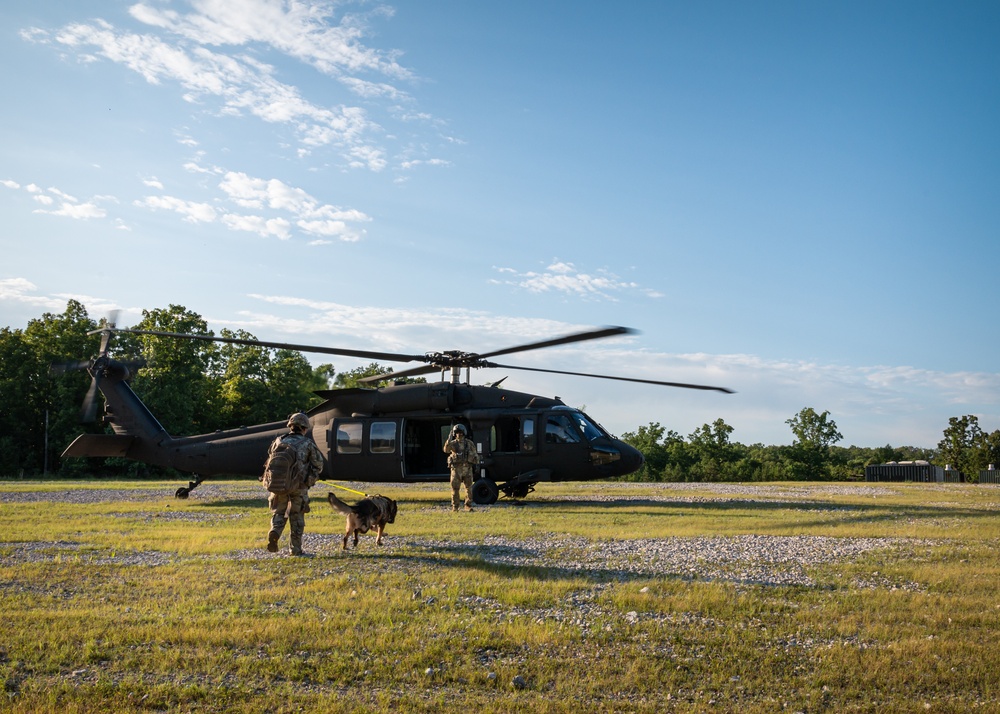 Training exercise prepares military working dog teams for future missions.