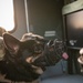 Training exercise prepares military working dog teams for future missions.