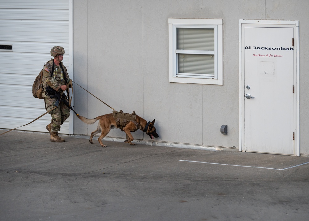 Training exercise prepares military working dog teams for future missions.