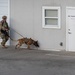 Training exercise prepares military working dog teams for future missions.