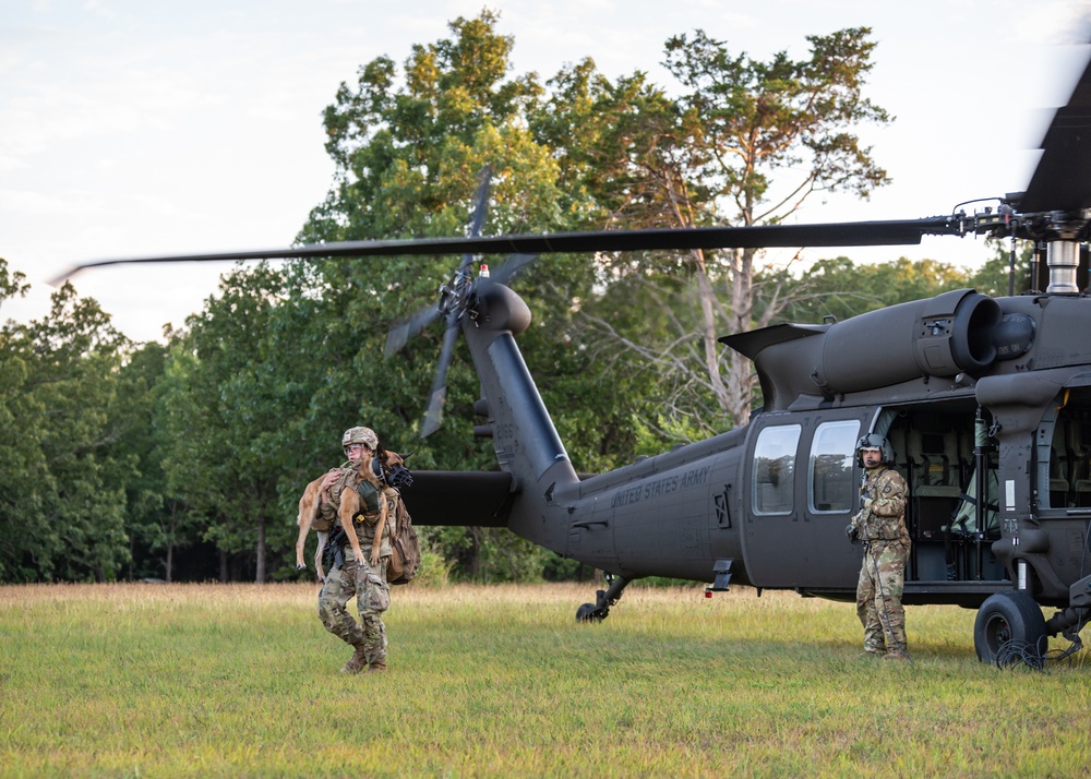 Training exercise prepares military working dog teams for future missions.