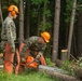 MWSS 273 Combat Engineers tree felling exercise