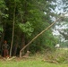MWSS 273 Combat Engineers tree felling exercise