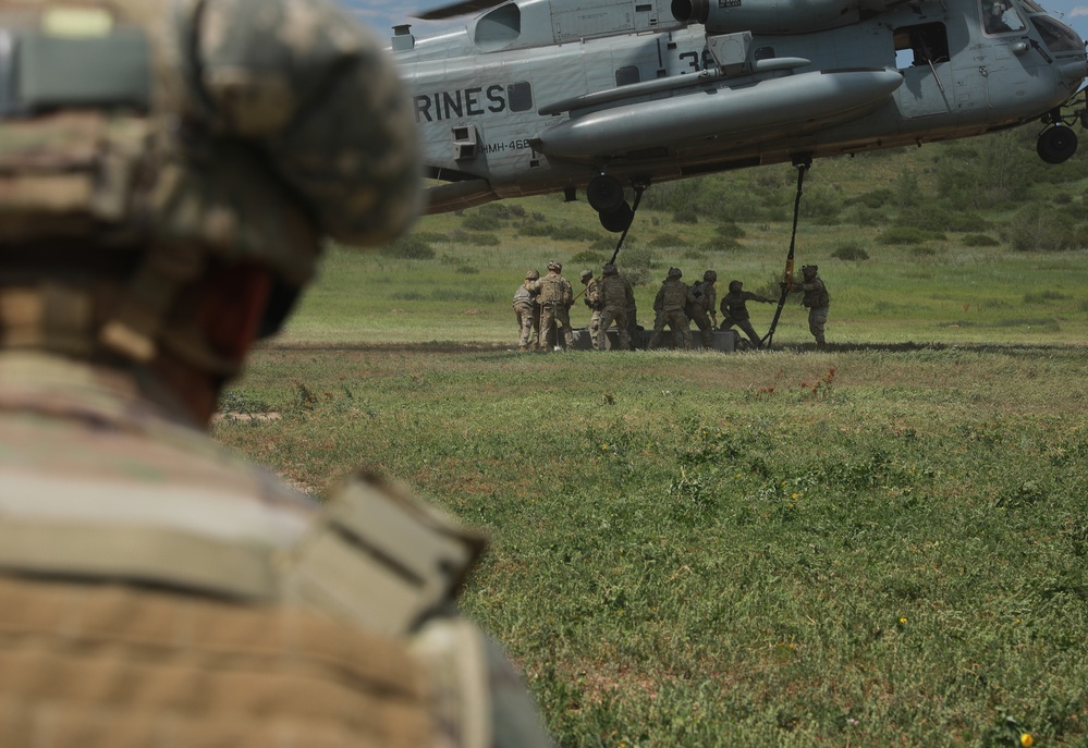 Joint Ivy Soldier and Marine Corps Sling-load Training Exercise