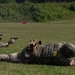 2023 Tennessee Adjutant General pistol competition