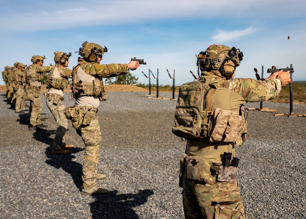 NSW, Australian Army conduct live fire training