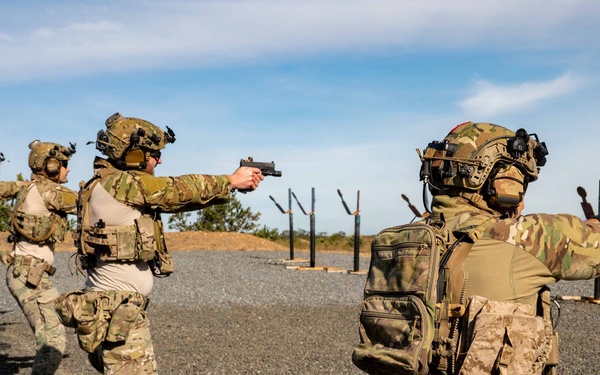 NSW, Australian Army conduct live fire training
