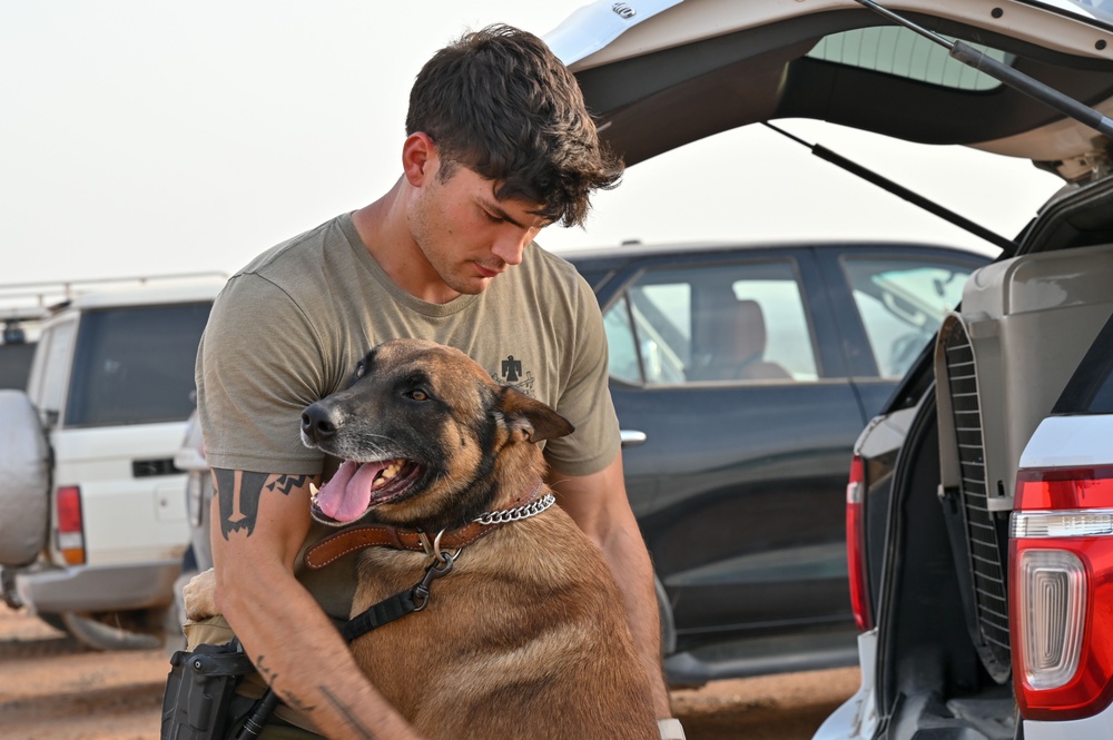 Camp Lemonnier dog handler teams train together