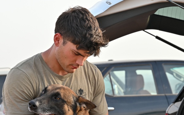 Camp Lemonnier dog handler teams train together