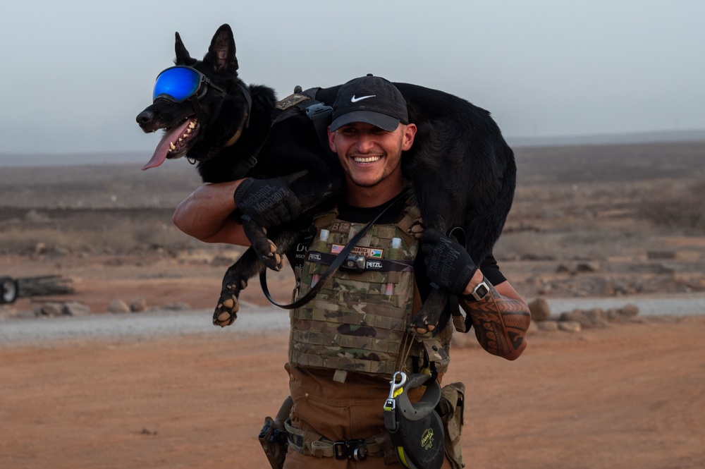 Camp Lemonnier dog handler teams train together