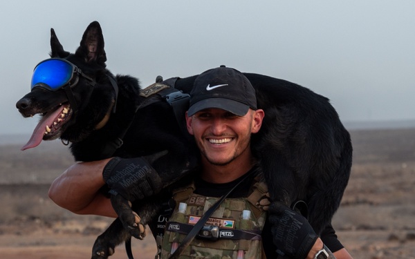 Camp Lemonnier dog handler teams train together