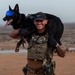 Camp Lemonnier dog handler teams train together