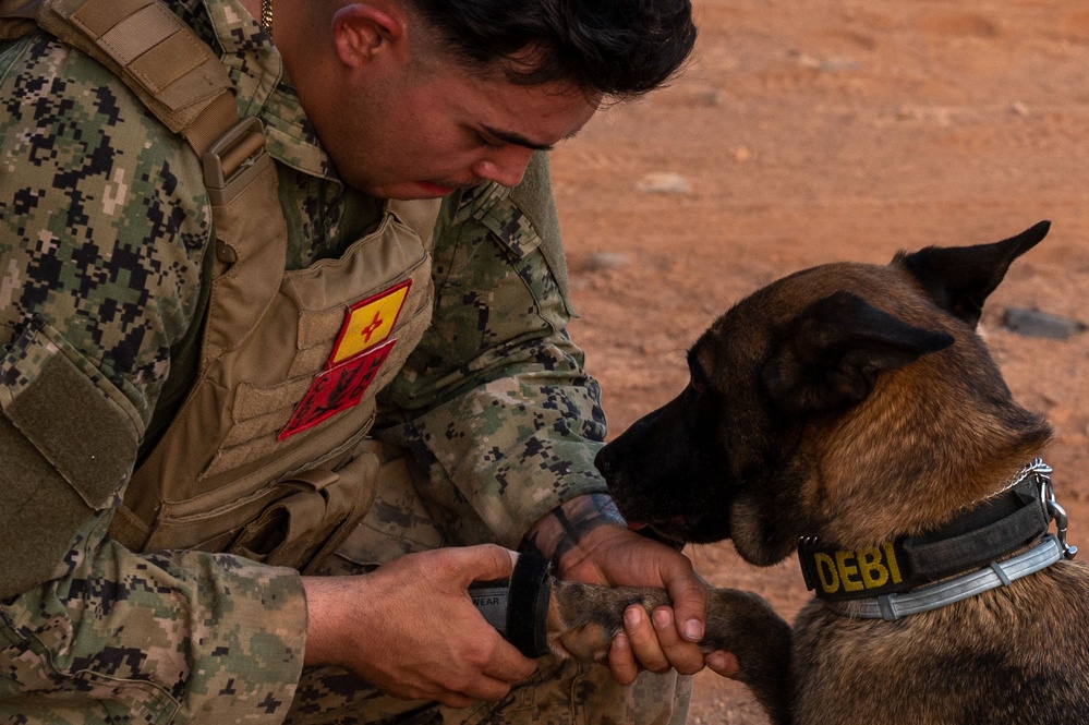 Camp Lemonnier dog handler teams train together