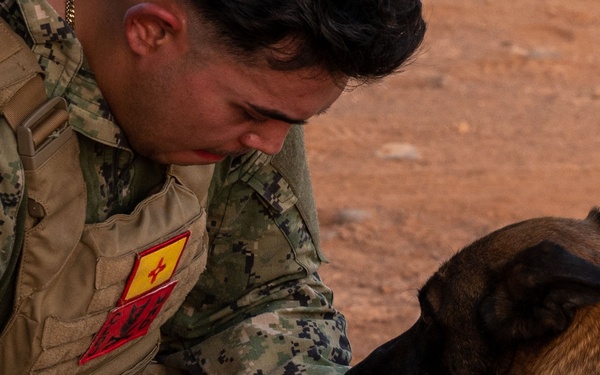 Camp Lemonnier dog handler teams train together
