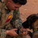 Camp Lemonnier dog handler teams train together