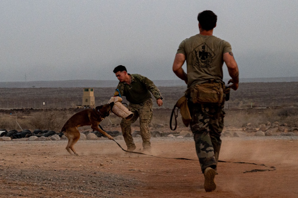 Camp Lemonnier dog handler teams train together