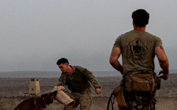 Camp Lemonnier dog handler teams train together