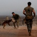 Camp Lemonnier dog handler teams train together