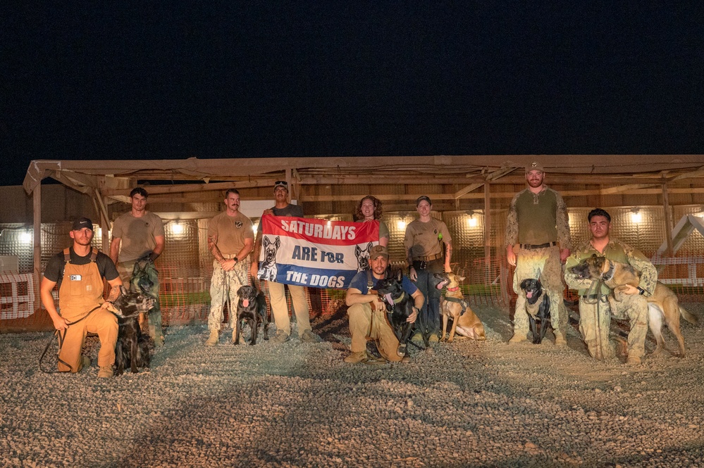 Camp Lemonnier dog handler teams train together